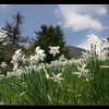 20050528_053